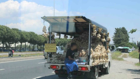 Sarımsak satıcısının tehlikeli yolculuğu