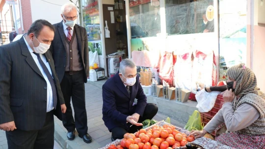 Savaş, Bozdoğan'daki yatırımları inceledi