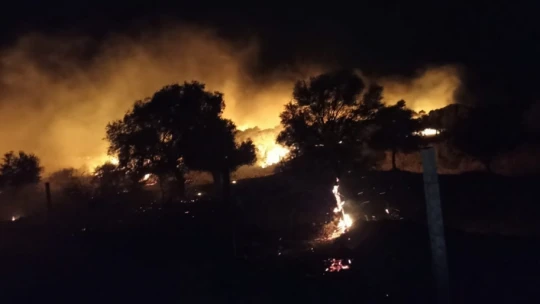 Sazlı'daki yangının şüphelileri jandarmadan kaçamadı