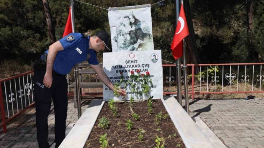 Şehit Uzman Çavuş Ceylan, mezarı başında anıldı