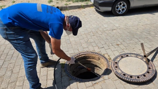 Şehri haşereler bastı, Efeler Belediyesi mücadele başlattı