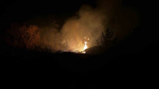 Selçuk'taki yangında felaket büyüyor