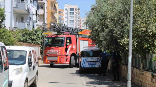 Sevimli kediyi kurtarmak için tüm ekipler seferber oldu, o kurtarılacağı anda atlayıp gitti