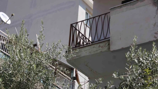 Sevimli kediyi kurtarmak için tüm ekipler seferber oldu, o kurtarılacağı anda atlayıp gitti
