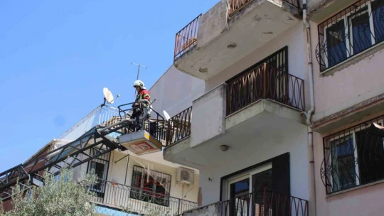 Sevimli kediyi kurtarmak için tüm ekipler seferber oldu, o kurtarılacağı anda atlayıp gitti