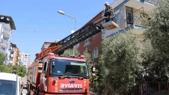 Sevimli kediyi kurtarmak için tüm ekipler seferber oldu, o kurtarılacağı anda atlayıp gitti