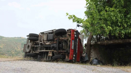 Seyyar pideciyi ölümden zeytin ağacı kurtardı