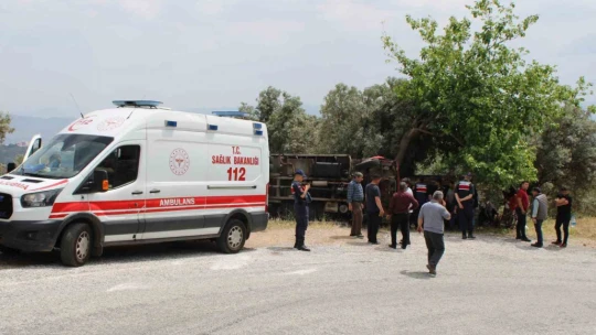 Seyyar pideciyi ölümden zeytin ağacı kurtardı
