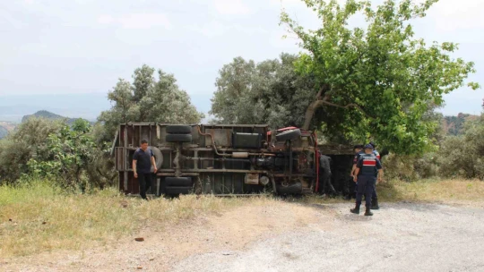 Seyyar pideciyi ölümden zeytin ağacı kurtardı