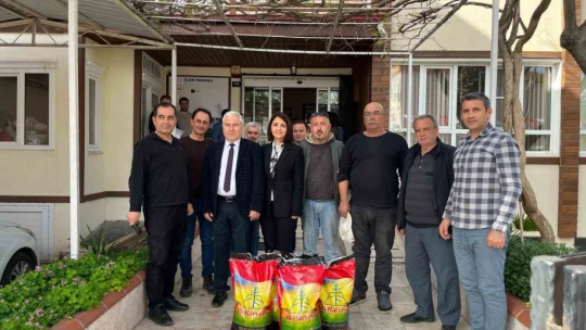 Silajlık mısıra alternatif sorgum otu Aydın'da yaygınlaştırılacak