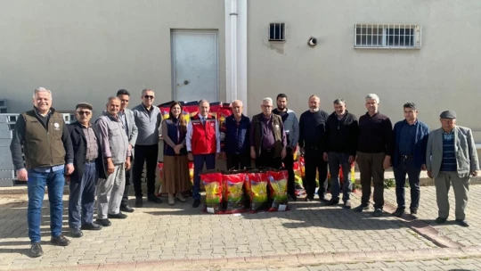 Silajlık mısıra alternatif sorgum otu Aydın'da yaygınlaştırılacak