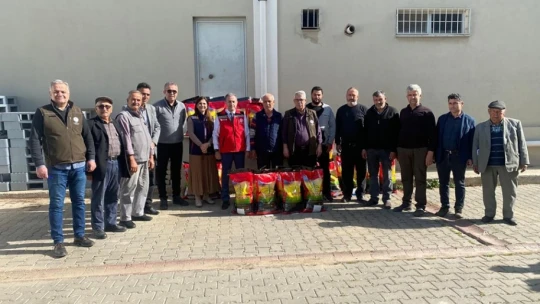 Silajlık mısıra alternatif sorgum otu Aydın'da yaygınlaştırılacak