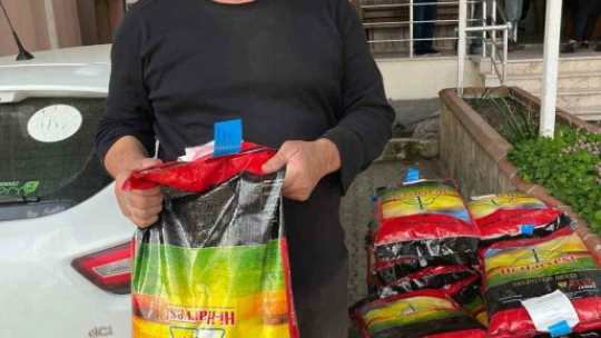 Silajlık mısıra alternatif sorgum otu Aydın'da yaygınlaştırılacak