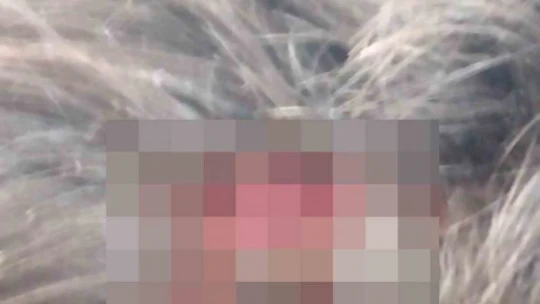Sınıf arkadaşlarını özür dileme bahanesi ile çağırıp darp ettiler