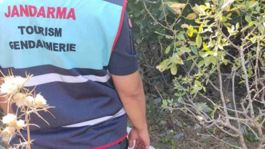 Sit alanında ilek toplarken yakalandılar