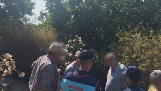 Sit alanında ilek toplarken yakalandılar
