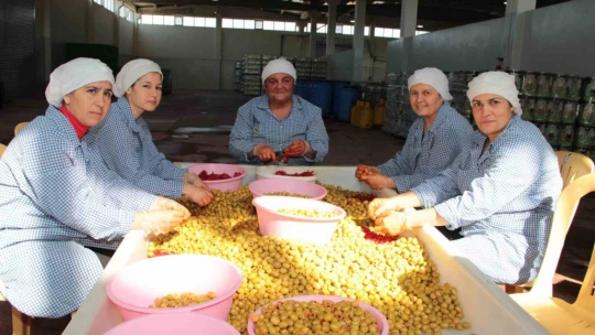 Sofralık zeytin ihracatı 128 milyon dolardan 162 milyon dolara yükseldi