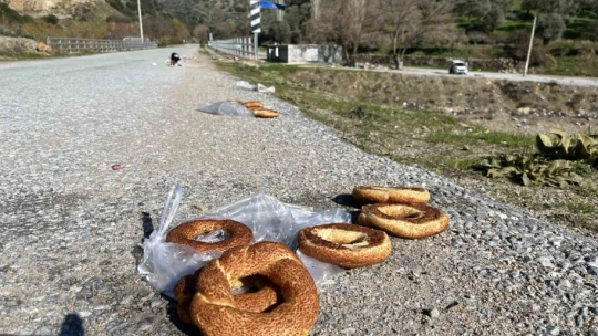 Sokak hayvanları için yollara bırakılan yiyecekler sağlığı tehdit ediyor