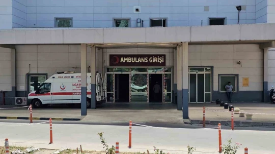 Sokak köpeklerinin saldırdığı yaşlı adam hayata tutundu