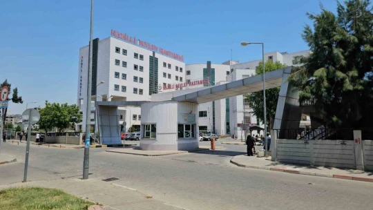 Sokak köpeklerinin saldırdığı yaşlı adam hayata tutundu