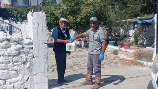 Söke Belediyesi'nden haşerelere karşı 'Nokta Atışı' mücadele