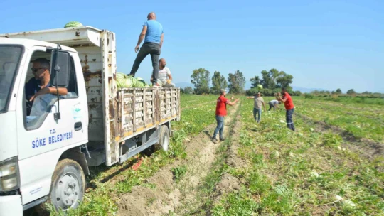 Söke Belediyesi vatandaşa karpuz dağıttı