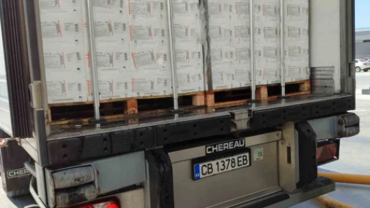 Söke'de 3 tır işlenmiş balığa ihraç edilmek üzere ön sağlık sertifikası düzenlendi