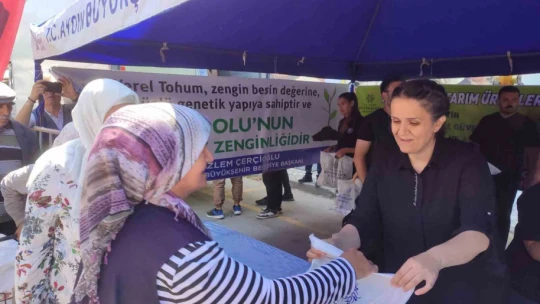 Söke'de 40 bin ata tohumu fidesi dağıtıldı