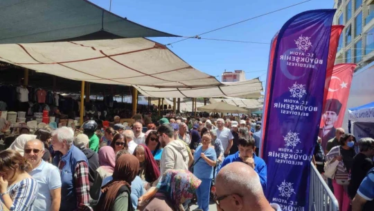 Söke'de 40 bin ata tohumu fidesi dağıtıldı