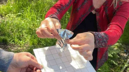 Söke'de Akdeniz meyve sineği tuzak kontrolleri yapıldı
