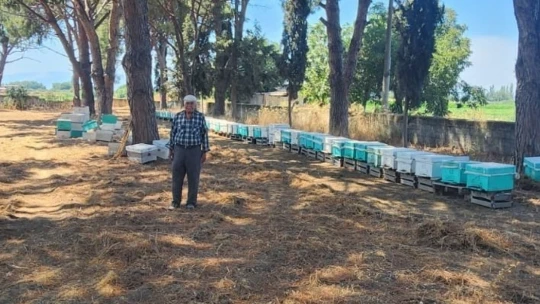 Söke'de arı kolonileri denetlendi