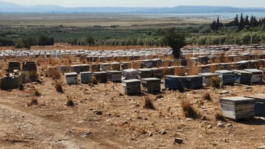 Söke'de arıcılık desteklemeleri için kovan tespit çalışmaları devam ediyor