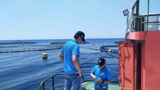 Söke'de balık çiftlikleri denetlendi