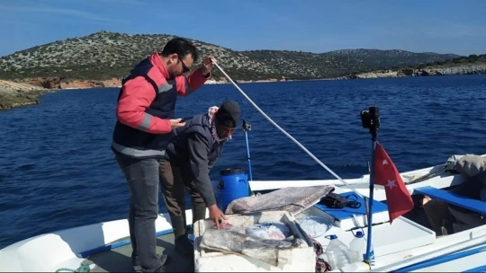 Söke'de balıkçılar önce denetlendi sonra bilgilendirildi