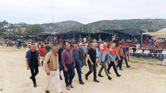 Söke'de boğa güreşi heyecanı