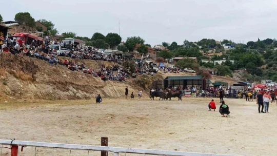 Söke'de boğa güreşi heyecanı