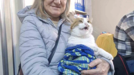 Söke'de evcil hayvanlar kayıt altına alınıyor