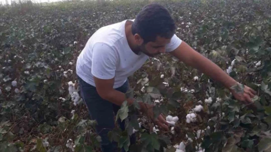 Söke'de haftalık kontroller devam ediyor