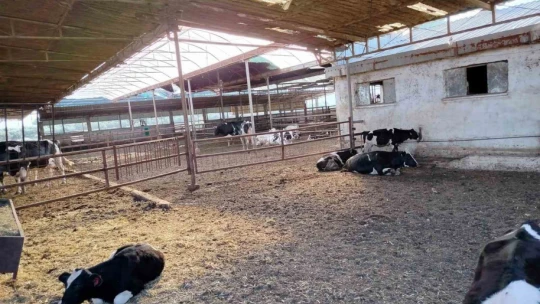 Söke'de hastalıktan ari işletmeler denetlendi