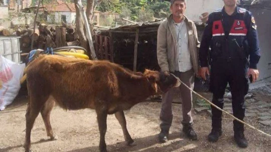 Söke'de hayvan hırsızları yakalandı