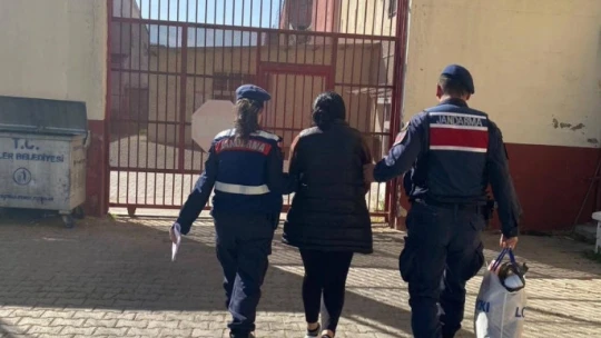 Söke'de hayvan hırsızları yakalandı