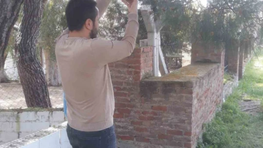 Söke'de kırmızı palmiye böceği tuzakları sayıldı
