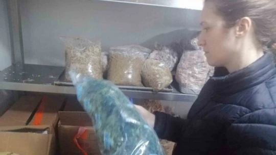 Söke'de öğrenci yurtlarında gıda denetimi