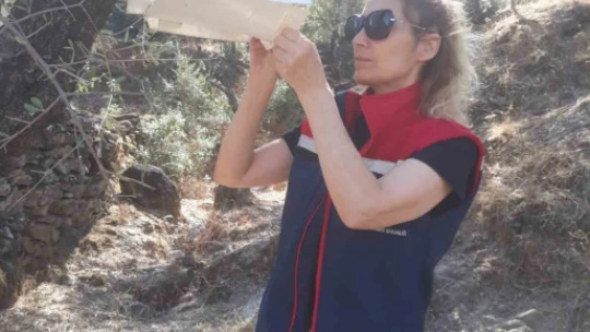 Söke'de pamuk zararlıları ile mücadele sürüyor