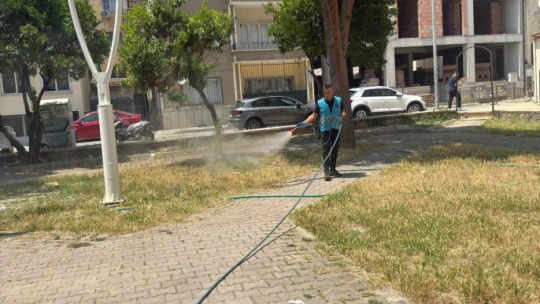 Söke'de park ve bahçelerde 'kene' mücadelesi