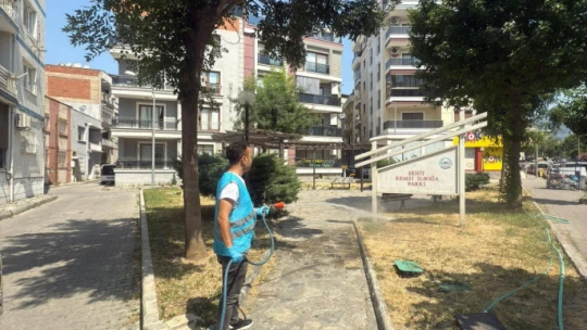 Söke'de park ve bahçelerde 'kene' mücadelesi
