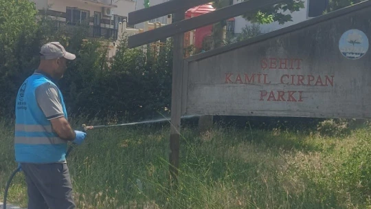 Söke'de park ve bahçelerde 'kene' mücadelesi