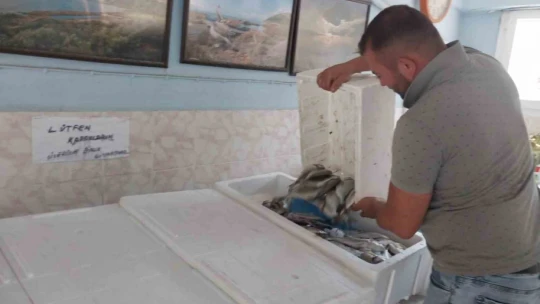 Söke'de su ürünleri denetimi yapıldı