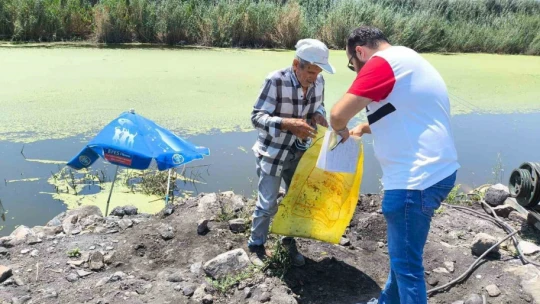 Söke'de su ürünleri denetimi yapıldı