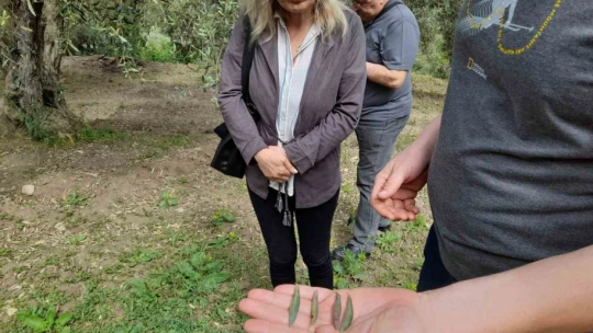 Söke'de tarım arazilerinin röntgeni çekildi
